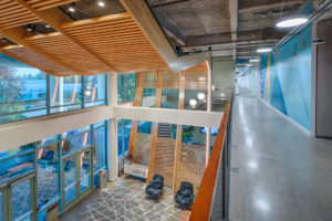 XL Construction, Milpitas, CA