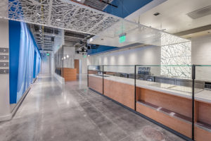XL Construction, Milpitas, CA